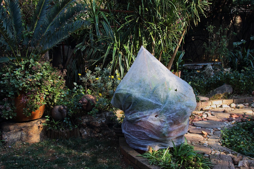 Lot De 3 Housses D'hivernage Pour Plantes 158x180 Cm - Tissu Non Tissé Respirant, Avec Fermeture éclair Et Cordon - Protection Contre Gel, Vent, Animaux